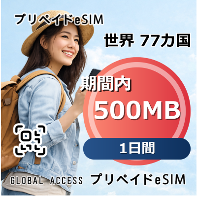 世界 77カ国 eSIM 500MB 1日間