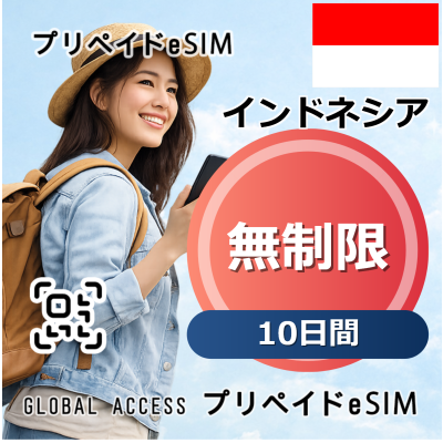 インドネシア eSIM 無制限 10日間